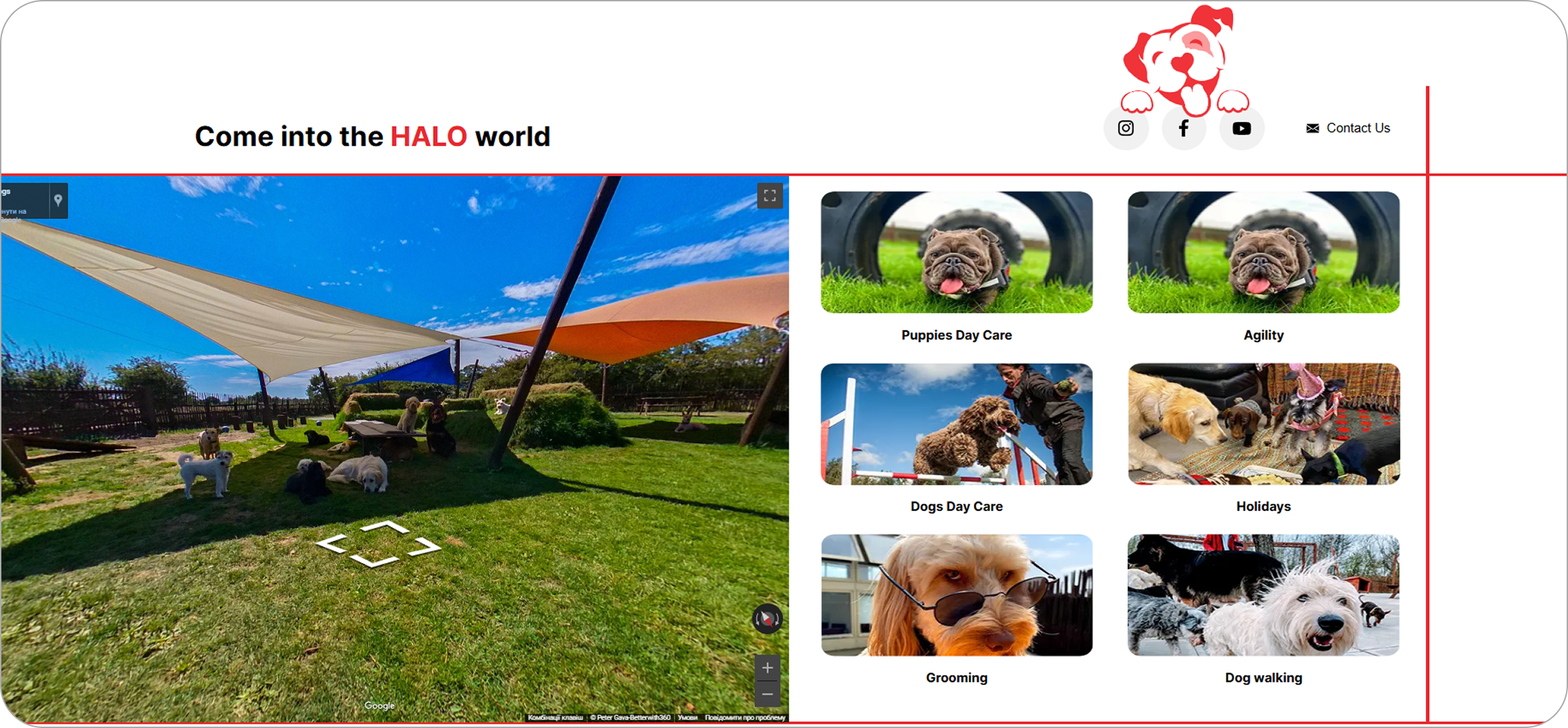 halo-dogs