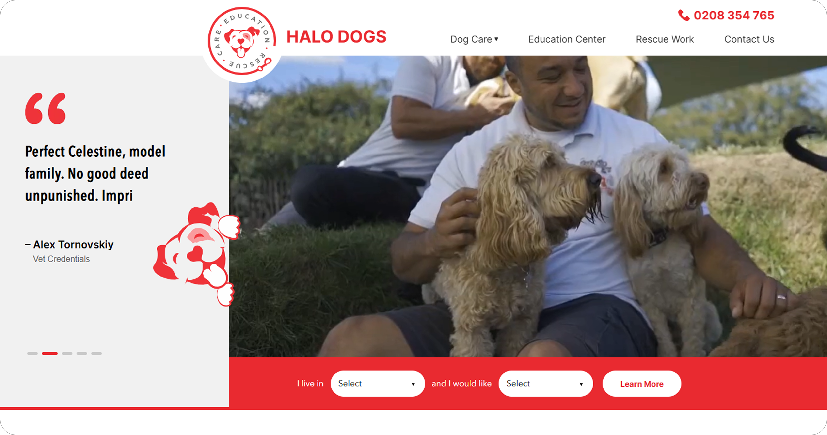 halo-dogs