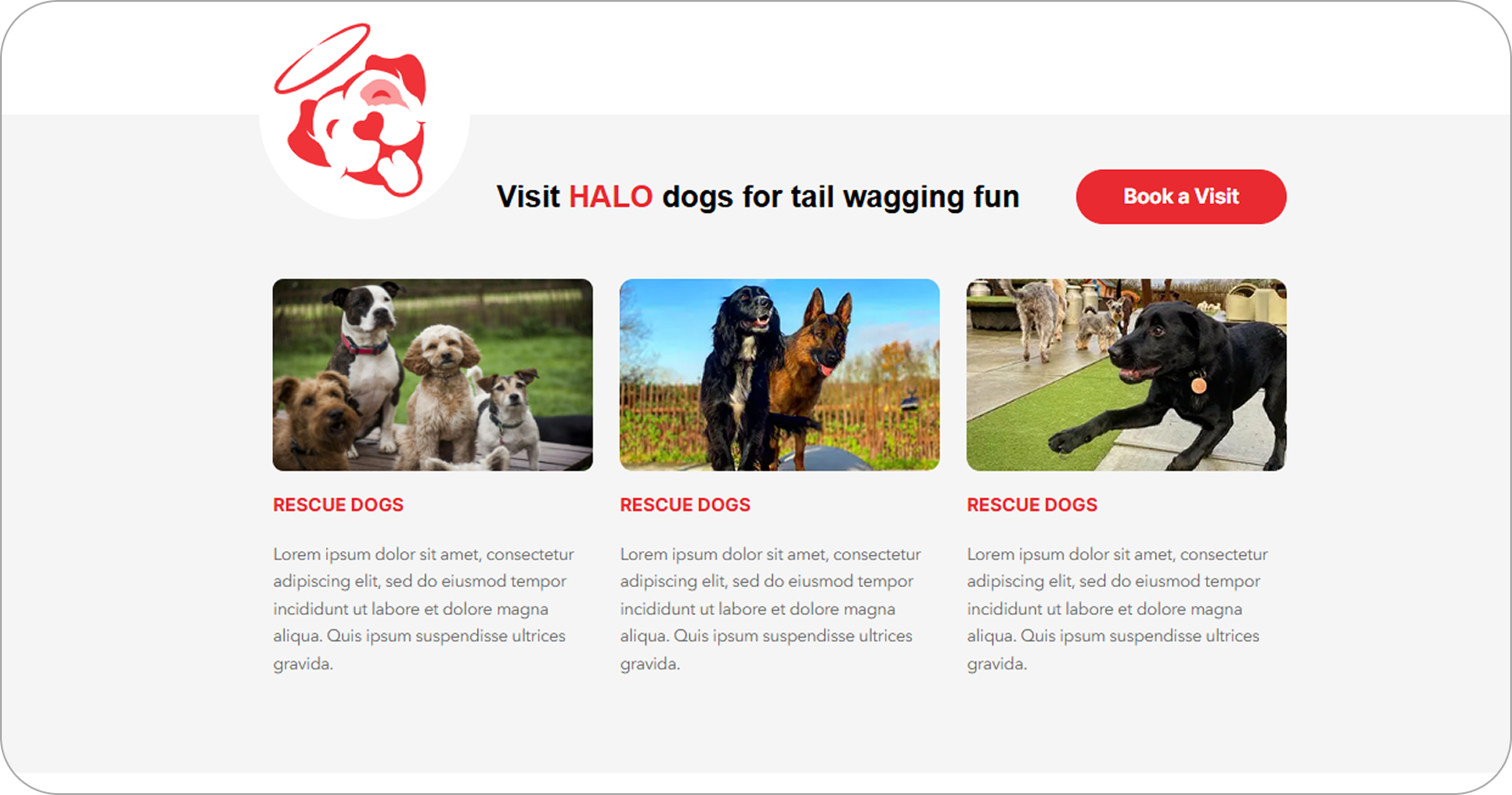 halo-dogs