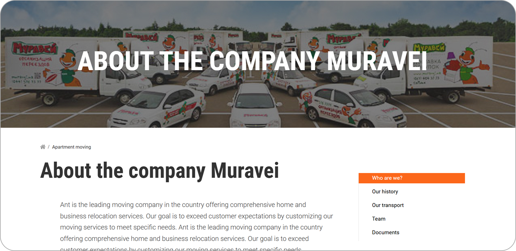 muravei