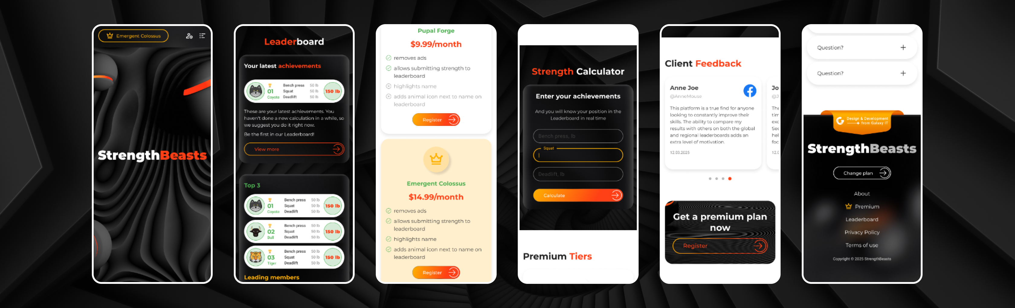 FitnessLeader responsive design